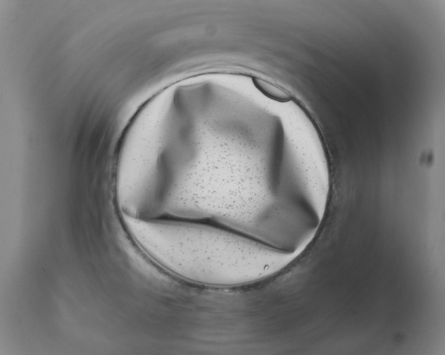 X0000111661526200908071421