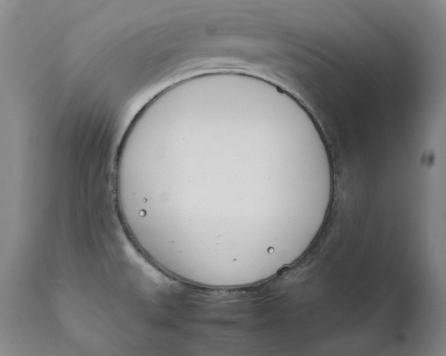 X0000111661527200908071421