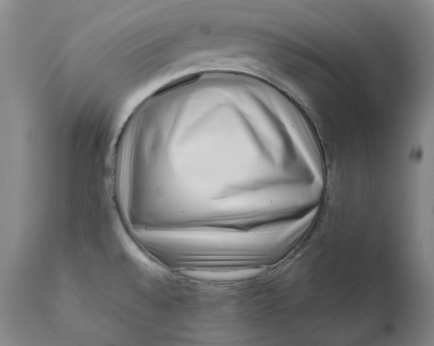 X0000111661528200908071421