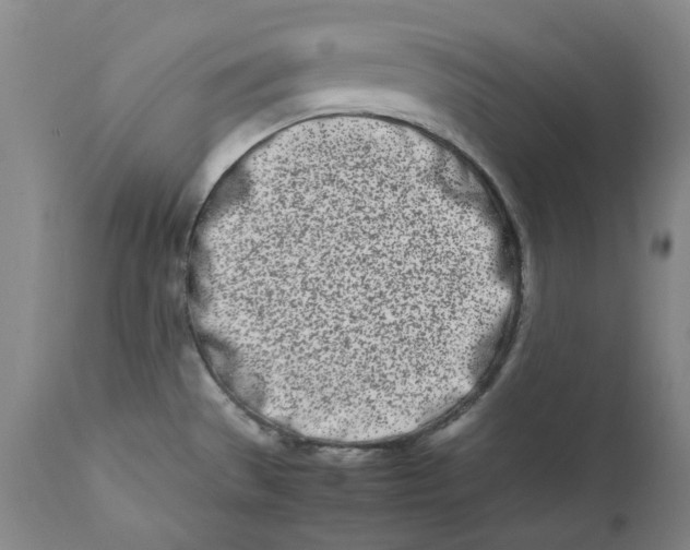 X0000111661529200908071421