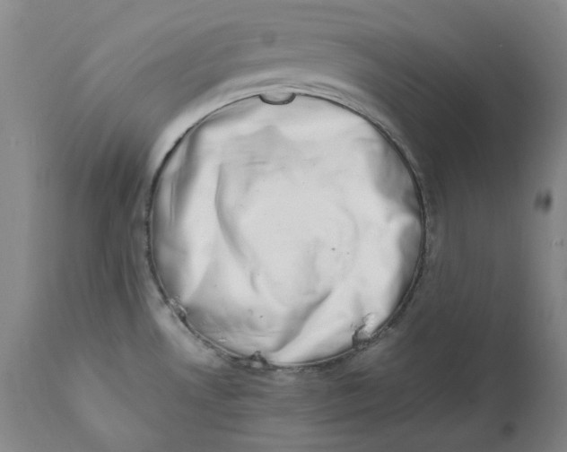 X0000111661530200908071421