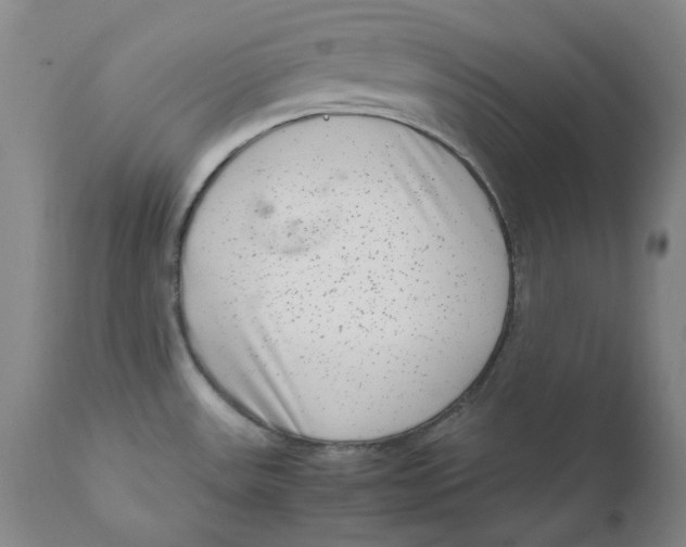 X0000111661531200908071421