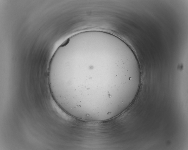 X0000111661532200908071421