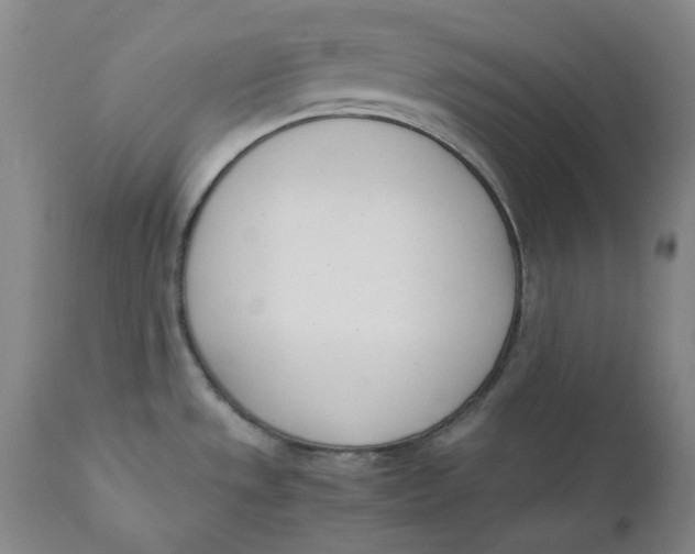 X0000111661533200908071421