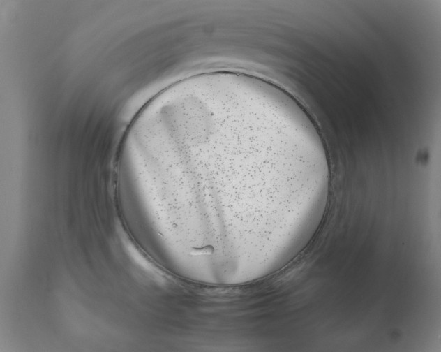 X0000111661535200908071421