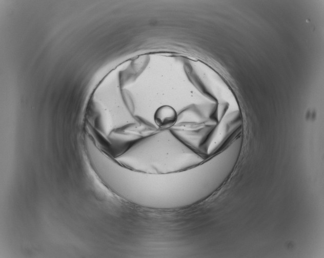 X0000111661536200908071421