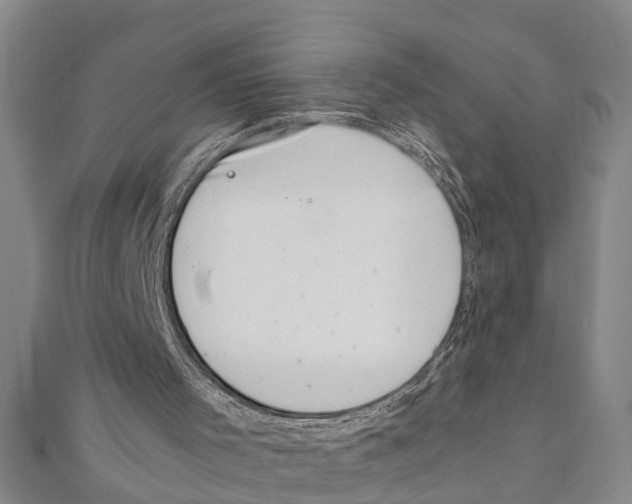 X0000111660001200908141324