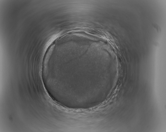 X0000111660003200908141324