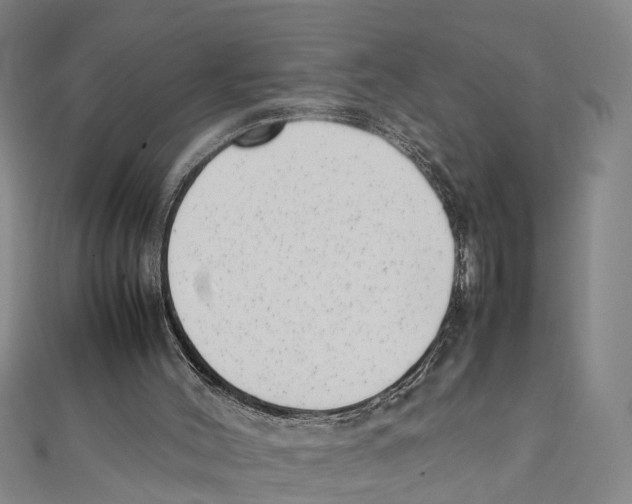 X0000111660004200908141324