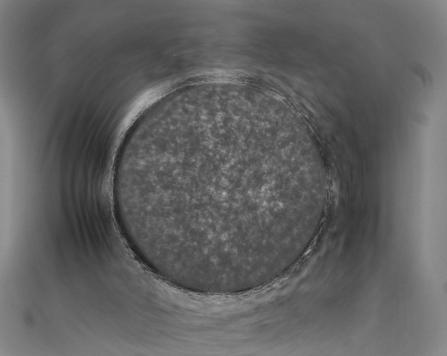 X0000111660006200908141323