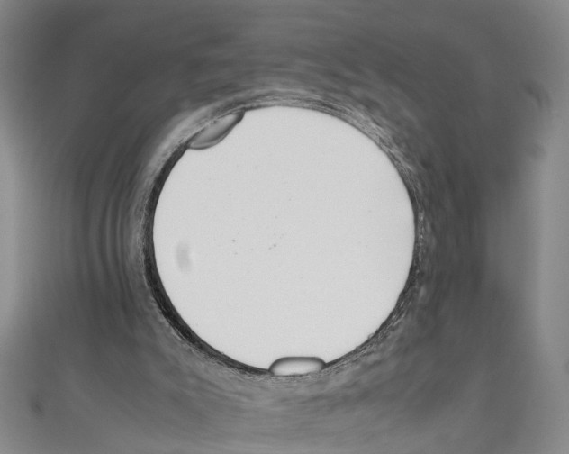 X0000111660007200908141323