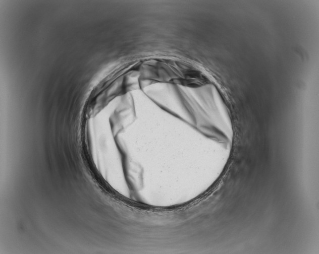 X0000111660008200908141323