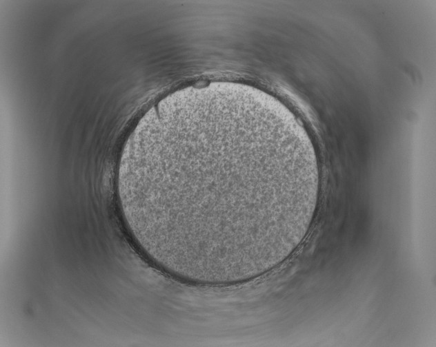 X0000111660009200908141323