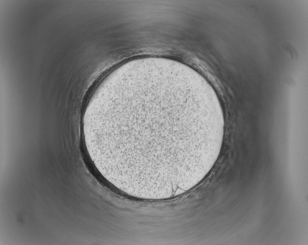 X0000111660011200908141323