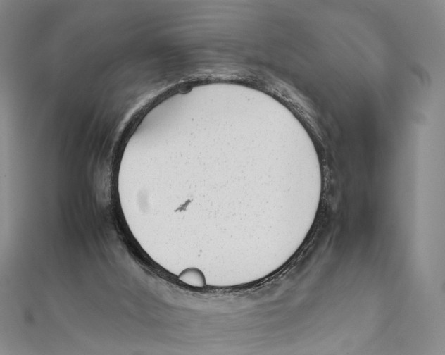 X0000111660012200908141323