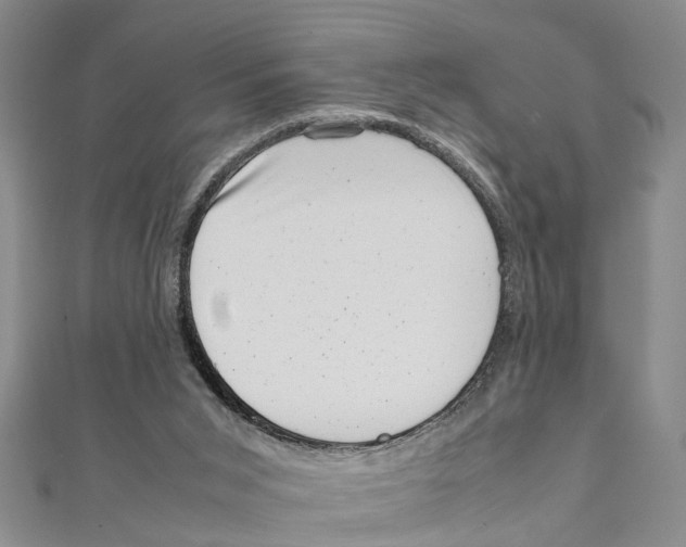 X0000111660015200908141323