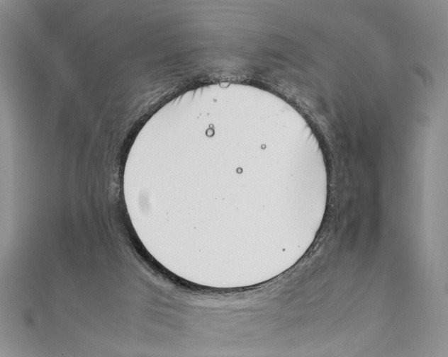 X0000111660017200908141323