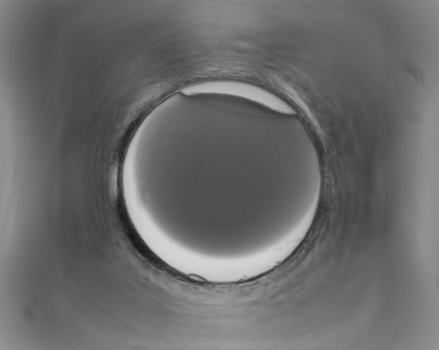 X0000111660019200908141323