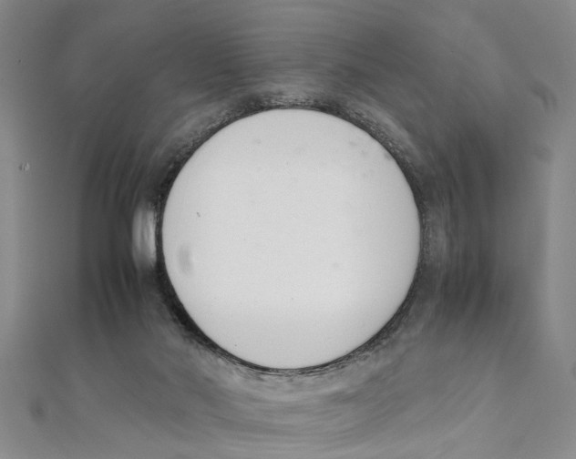 X0000111660022200908141323