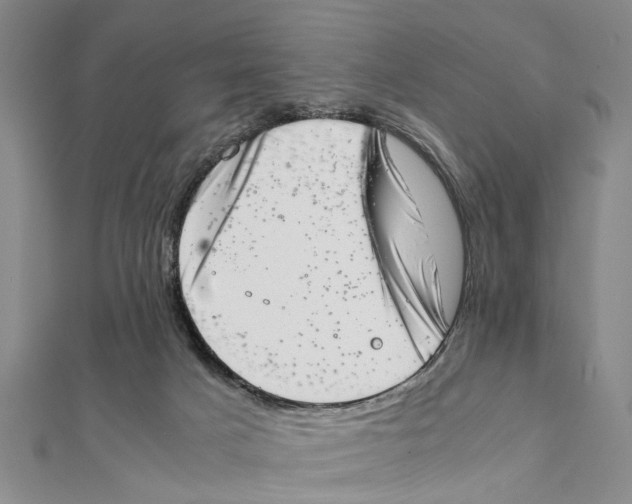 X0000111660025200908141323