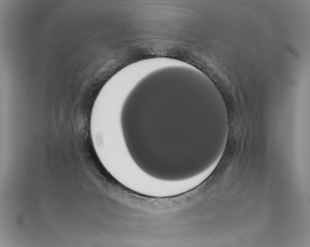 X0000111660031200908141323