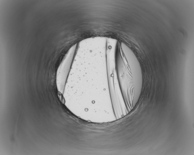 X0000111660033200908141323