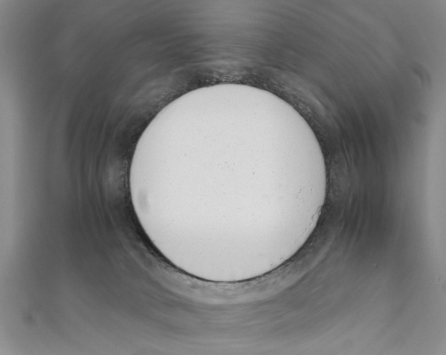 X0000111660034200908141323