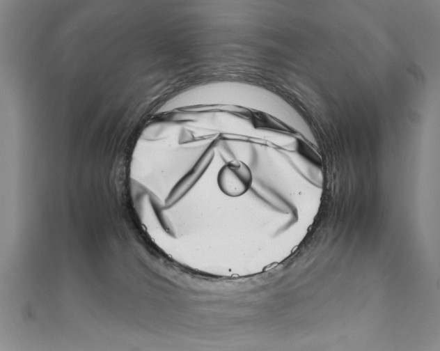 X0000111660036200908141323