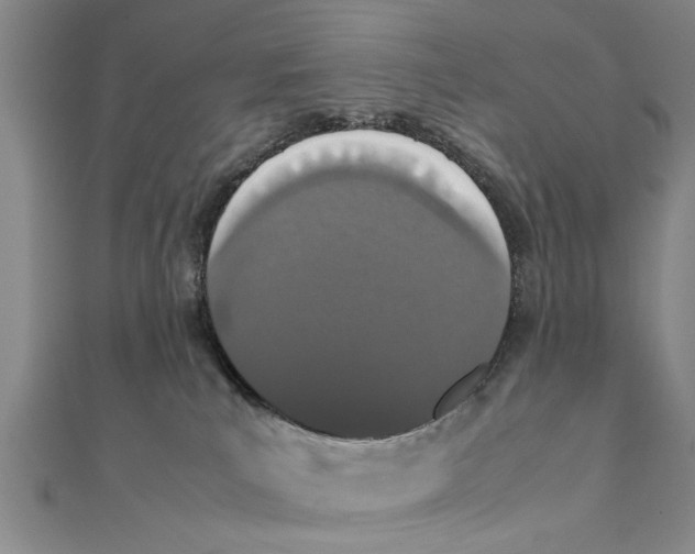 X0000111660039200908141323