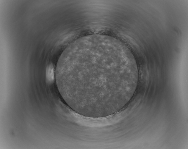 X0000111660042200908141323