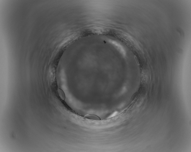 X0000111660043200908141323