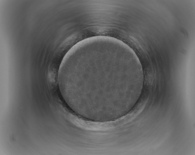 X0000111660044200908141323