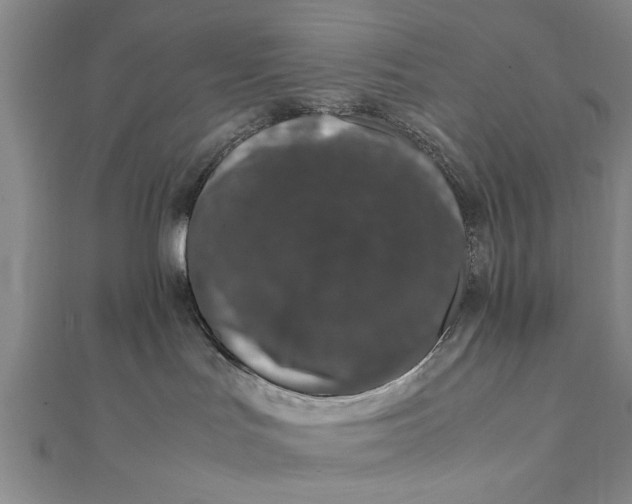 X0000111660047200908141323