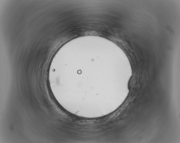 X0000111660049200908141322