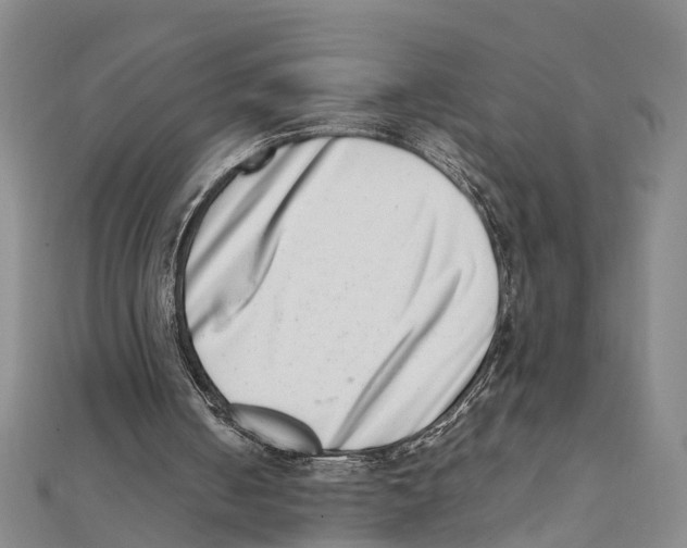 X0000111660050200908141322