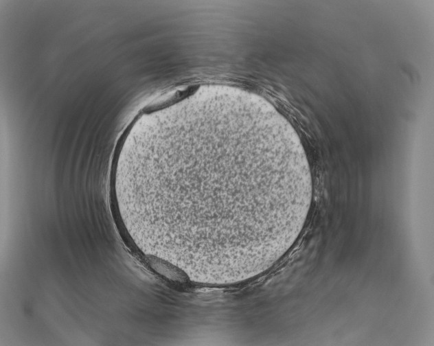 X0000111660052200908141322