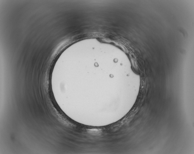 X0000111660053200908141322