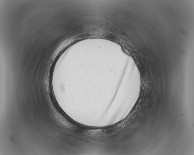 X0000111660054200908141322