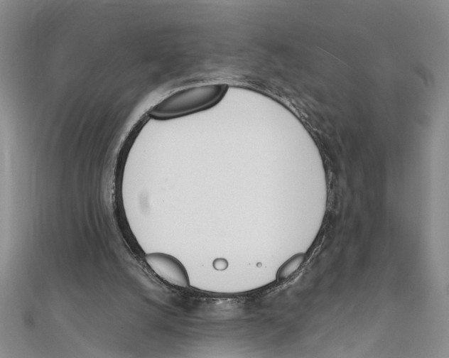 X0000111660056200908141322