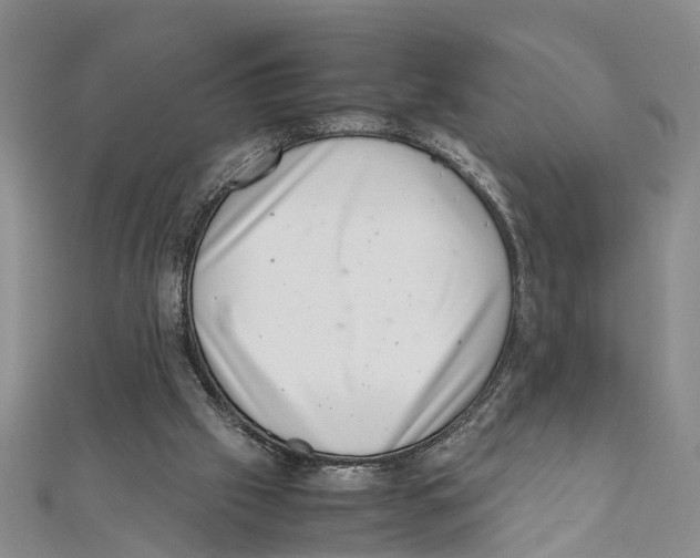 X0000111660057200908141322