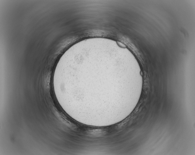 X0000111660058200908141322