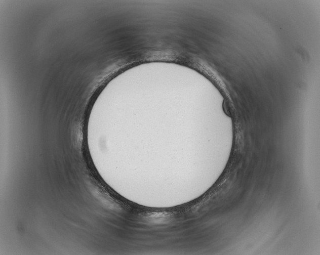 X0000111660059200908141322