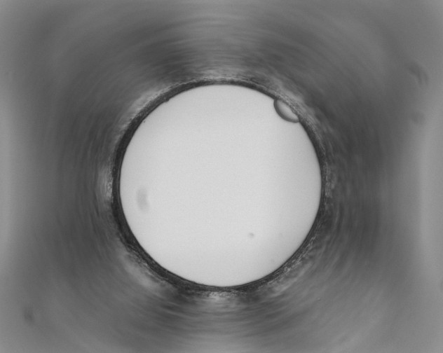 X0000111660060200908141322