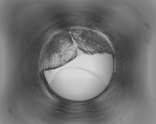 X0000111660061200908141322