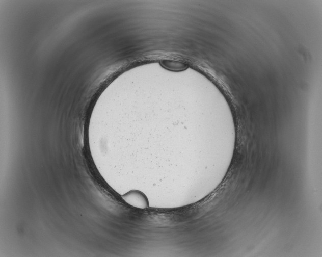 X0000111660062200908141322