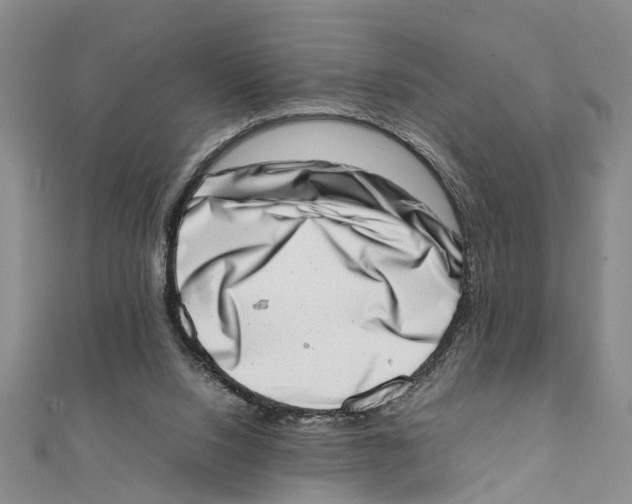 X0000111660064200908141322