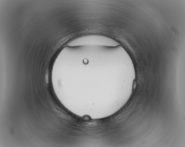 X0000111660068200908141322