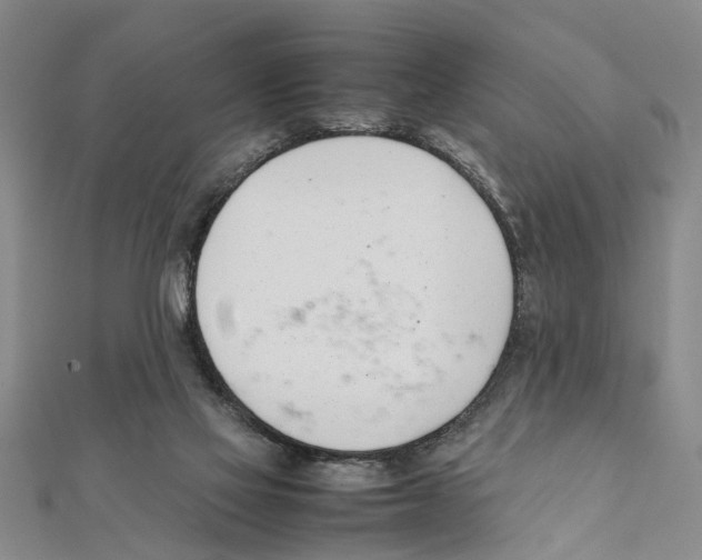 X0000111660069200908141322