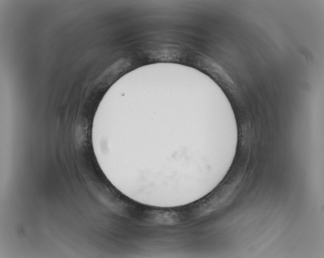 X0000111660073200908141322