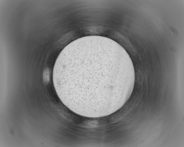 X0000111660075200908141323